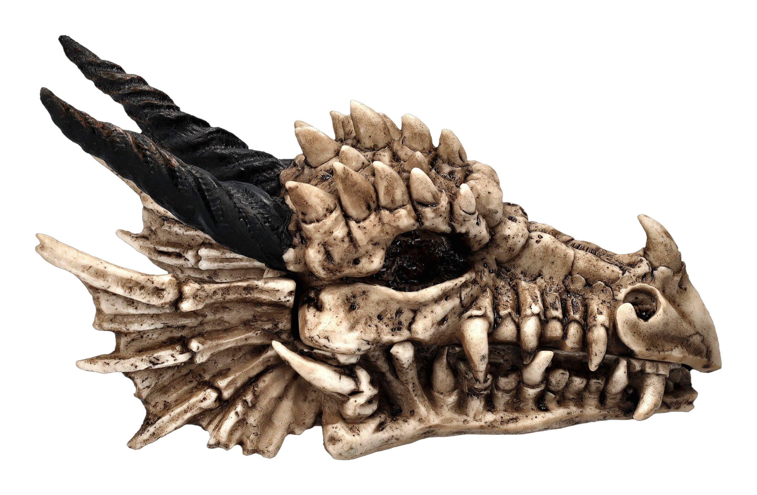 Figuren Shop GmbH Aufbewahrungsdose Schatulle - Drachen Totenschädel - Fantasy Dekofigur Aufbewahrung
