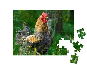 puzzleYOU Puzzle Stolzer Hahn in einer Wiese, 48 Puzzleteile, puzzleYOU-Kollektionen Hähne, Bauernhof-Tiere