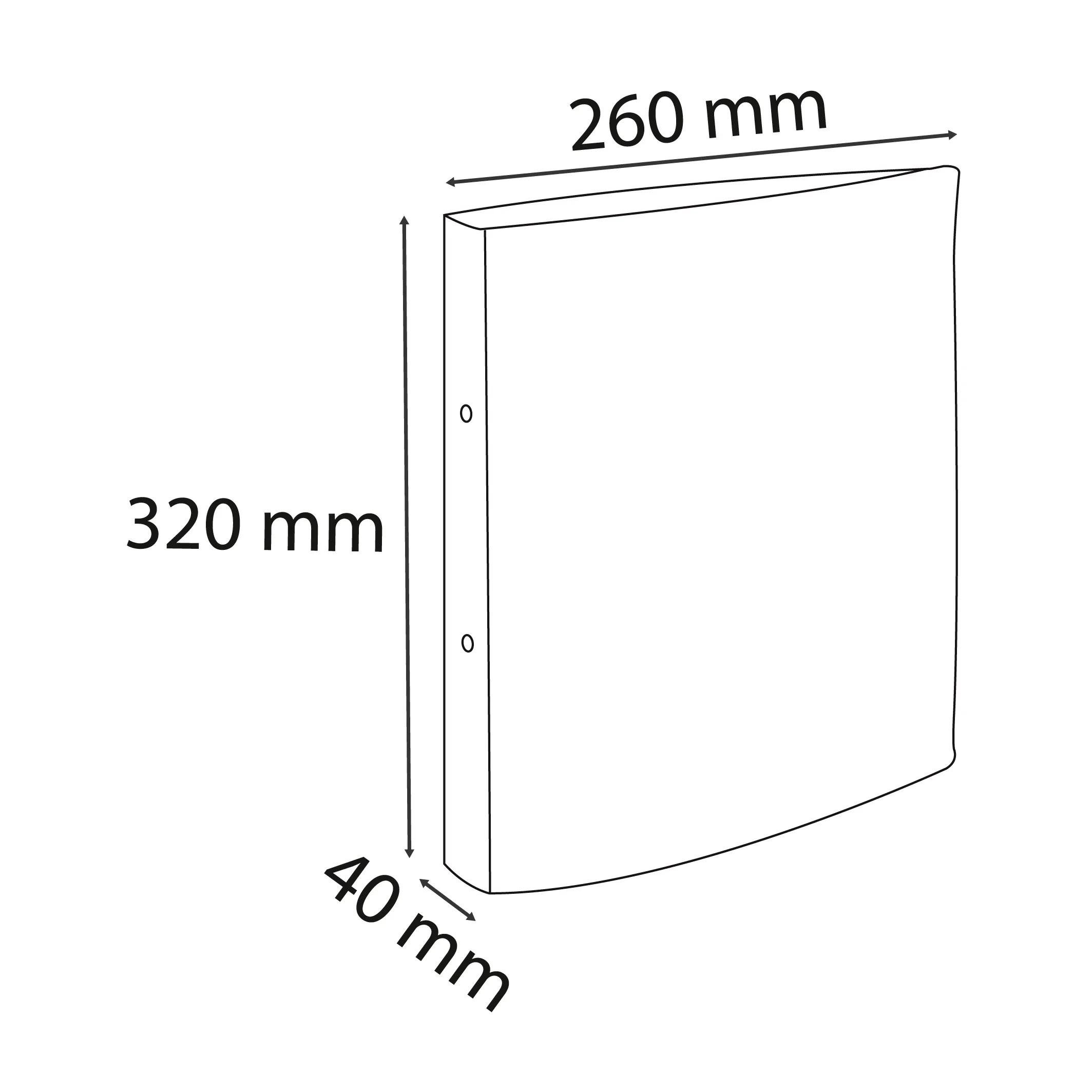 EXACOMPTA Ringbuchmappe 10x Ringbuch RC Kart.18mm 2Ring Rücken 40mm A4 - Dunkelgrün 54983E, Karton Ringbücher