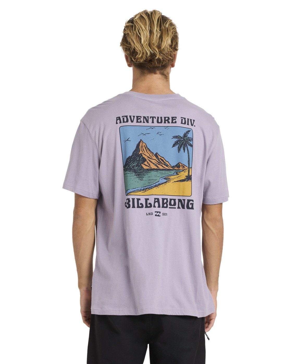 Billabong T-Shirt Post Cards A/DIV Premium günstig online kaufen