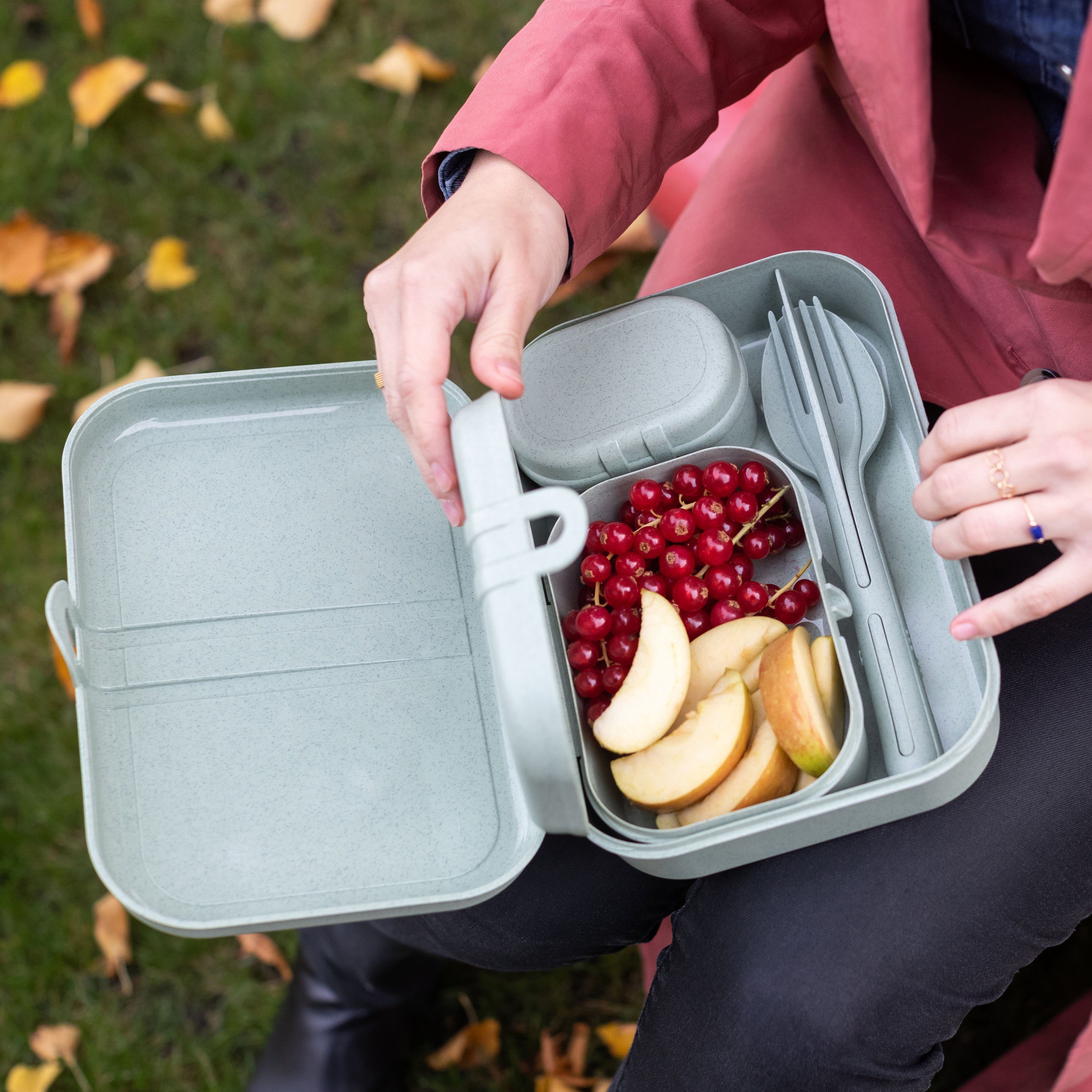 KOZIOL Lunchbox PASCAL READY, Kunststoff, Besteck melaminfrei, spülmaschinengeeignet, (Set, organic inkl. 4-tlg), aqua