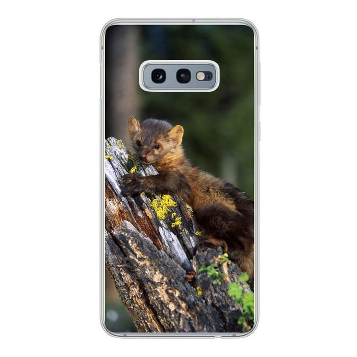 MuchoWow Handyhülle Marder - Baum - Wald Phone Case Handyhülle Samsung Galaxy S10e Silikon Schutzhülle