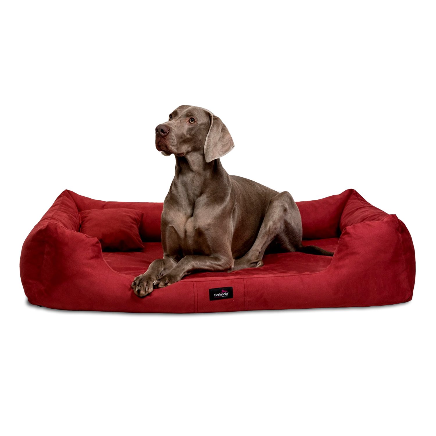 tierlando® Tierbett Orthopädisches Hundebett PLUTO SOFT, Visco, Samtweiches Velours