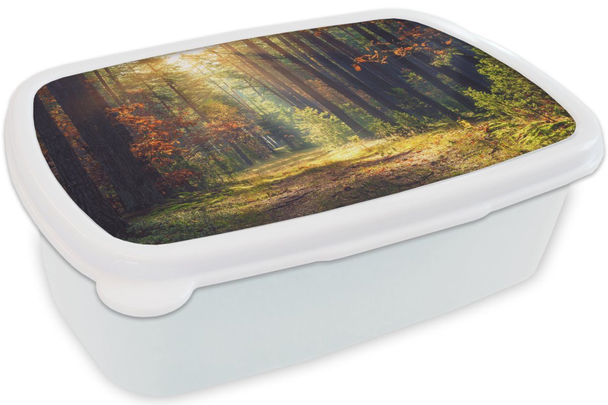 MuchoWow Lunchbox Wald - Bäume, (2-tlg), für Brotdose, Kunststoff, weiß und Brotbox Jungs für - Kinder Erwachsene, Mädchen Herbst und
