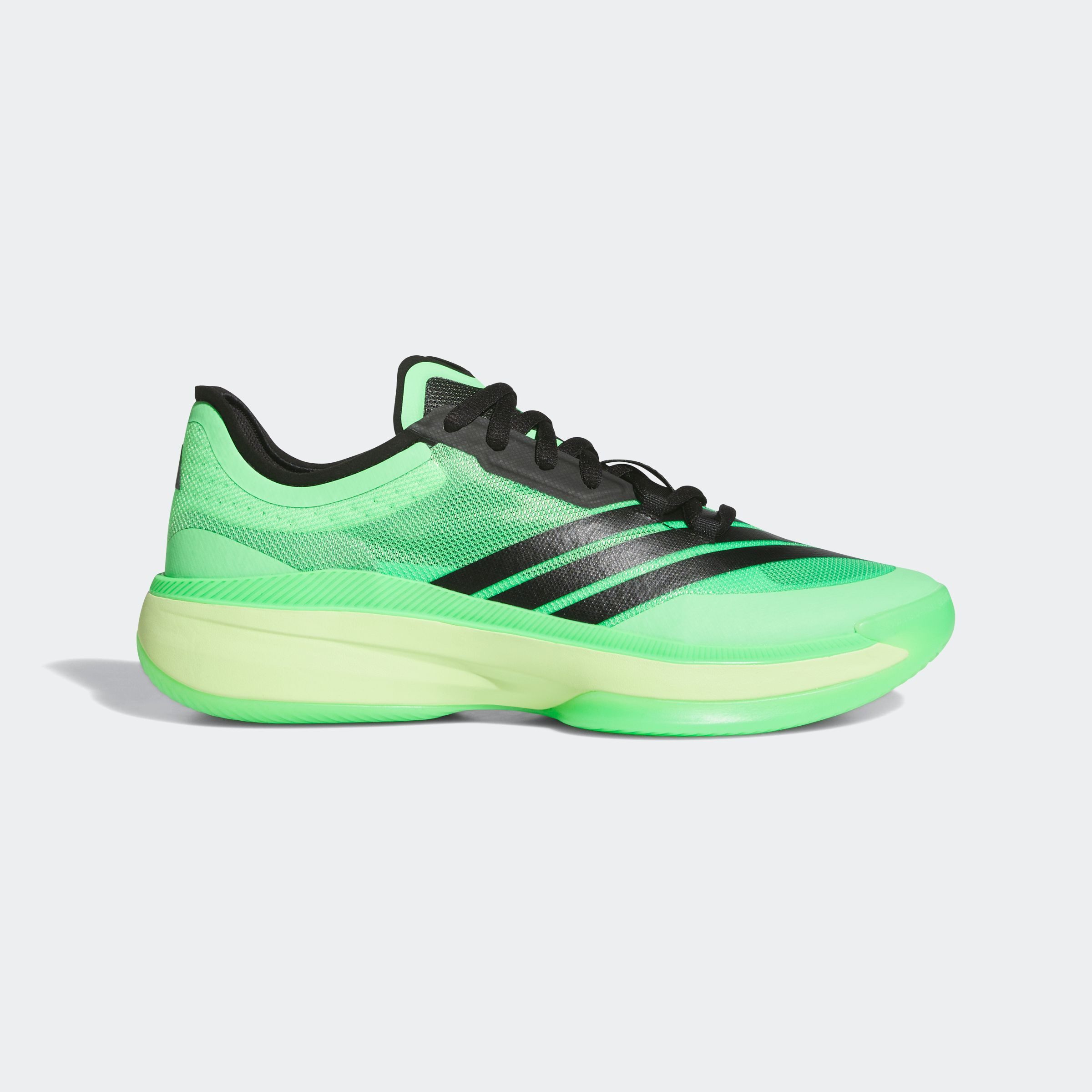 adidas Performance ADIZERO SELECT 3.0 Basketballschuh günstig online kaufen