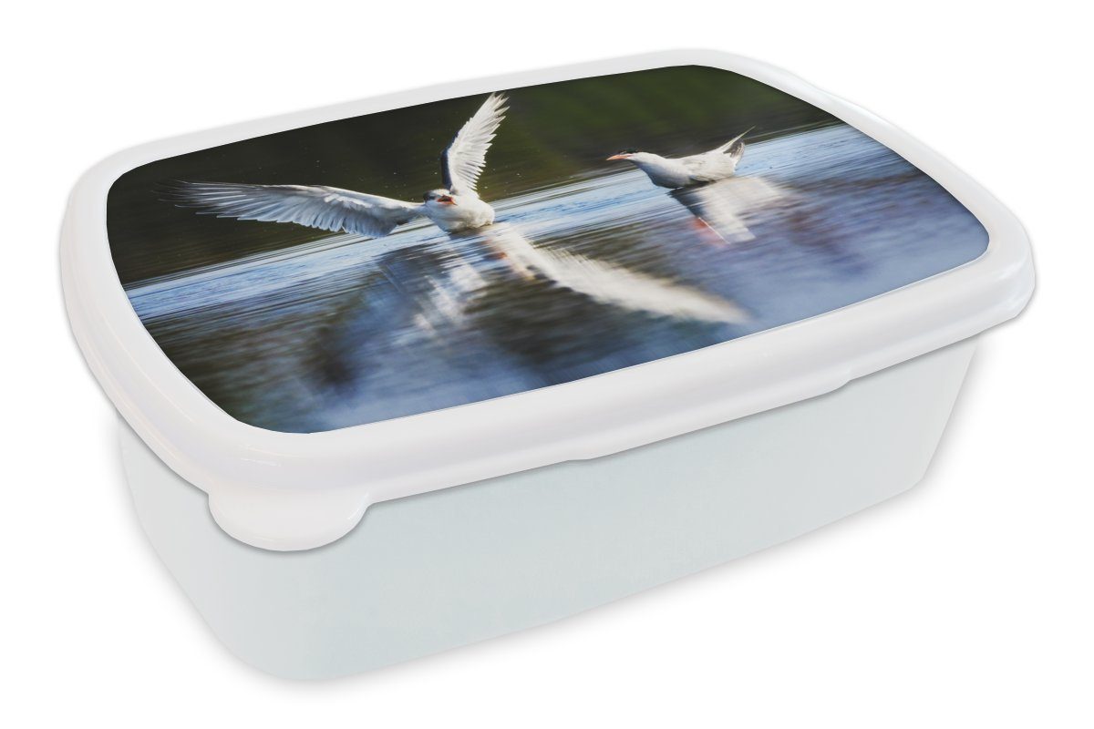 MuchoWow Lunchbox Vogel - Wasser - Flügel, Kunststoff, (2-tlg), Brotbox für Kinder und Erwachsene, Brotdose, für Jungs und Mädchen weiß | Lunchboxen