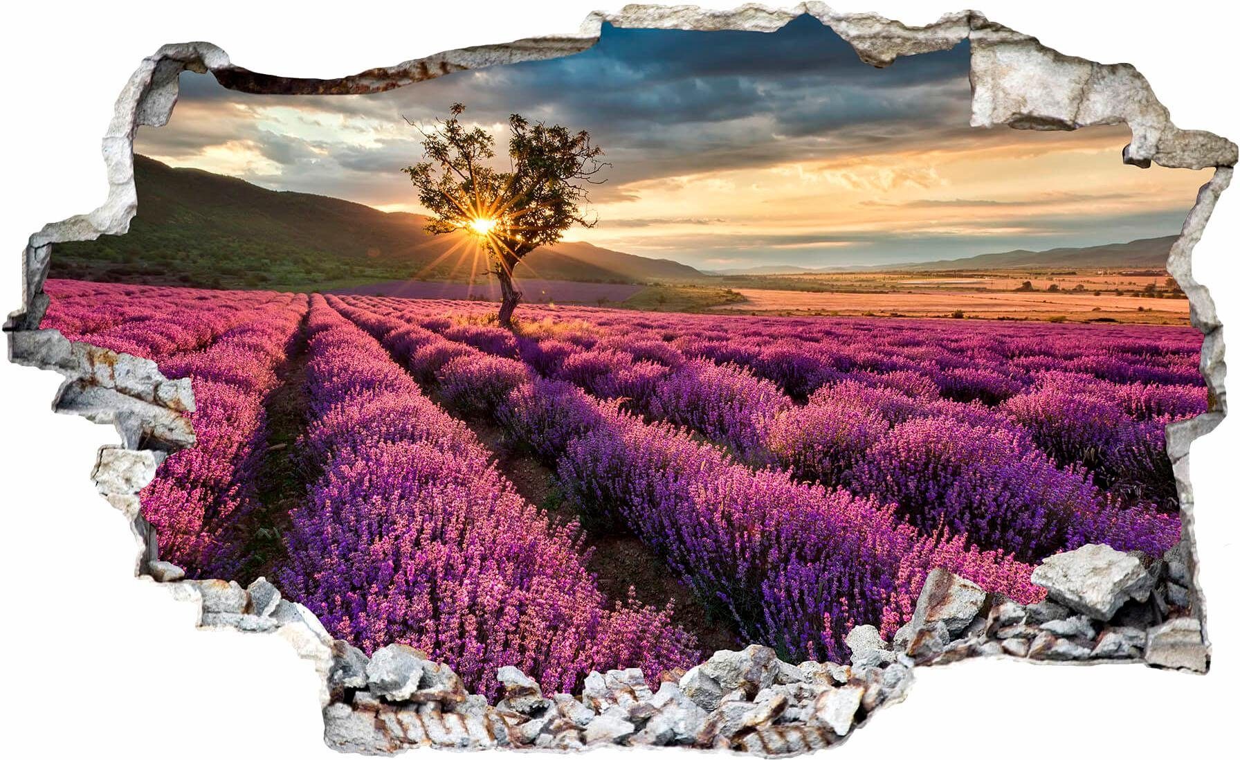 Wall-Art Lavendel Wandtattoo Provence der in