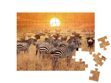 puzzleYOU Puzzle Zebra im Serengeti-Nationalpark, Tansania, Afrika, 48 Puzzleteile, puzzleYOU-Kollektionen Tiere, Zebras, Safari, Savanne