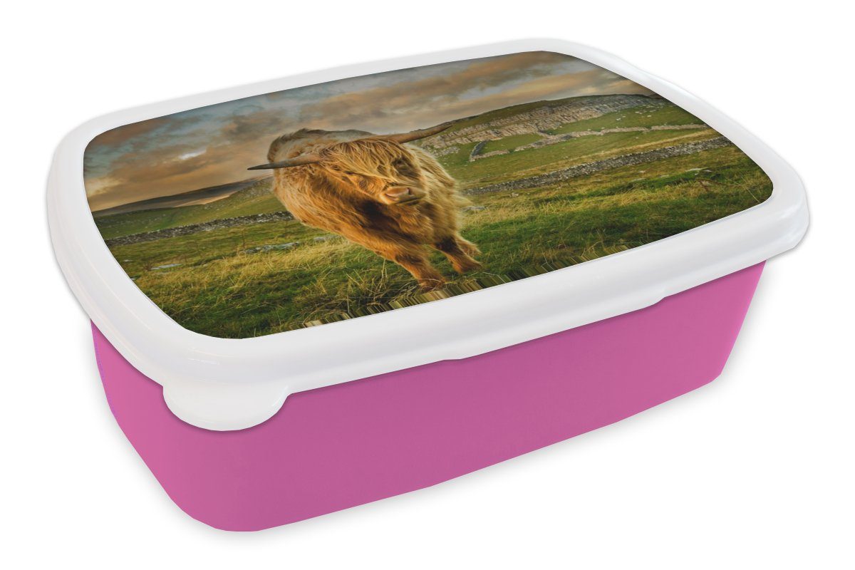 Highlander Schottischer rosa MuchoWow für Berg, Mädchen, Kunststoff, - - Kinder, Lunchbox Brotdose (2-tlg), Brotbox Gras Kunststoff Snackbox, Erwachsene,