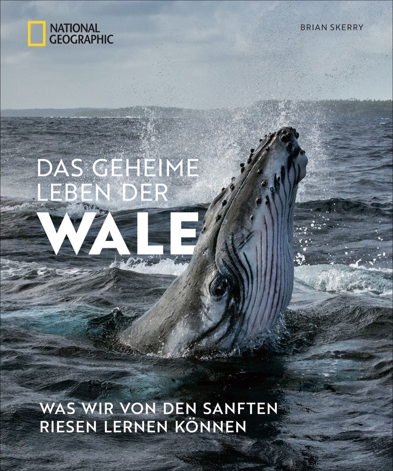 Das geheime Leben der Wale / Brian Skerry