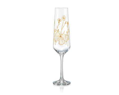 Crystalex Sektglas Sektglas Sektgläser Wild Flowers Schmetterling, Kristallglas, Pantografie in Gold, 6er Set