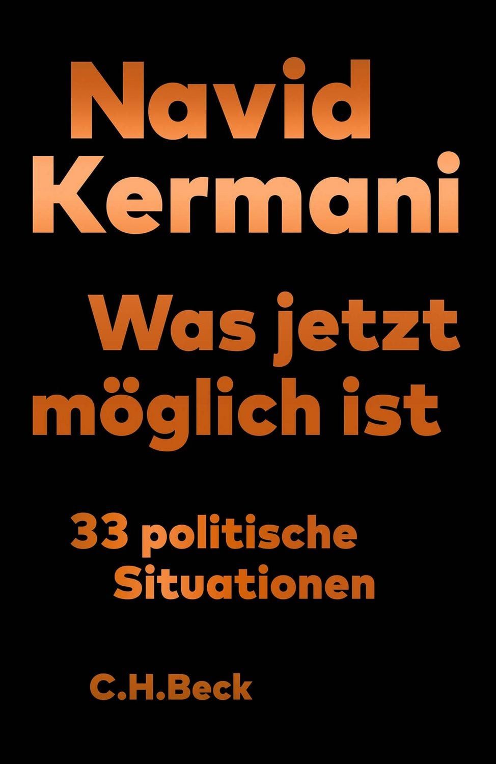 Was jetzt möglich ist / Navid Kermani