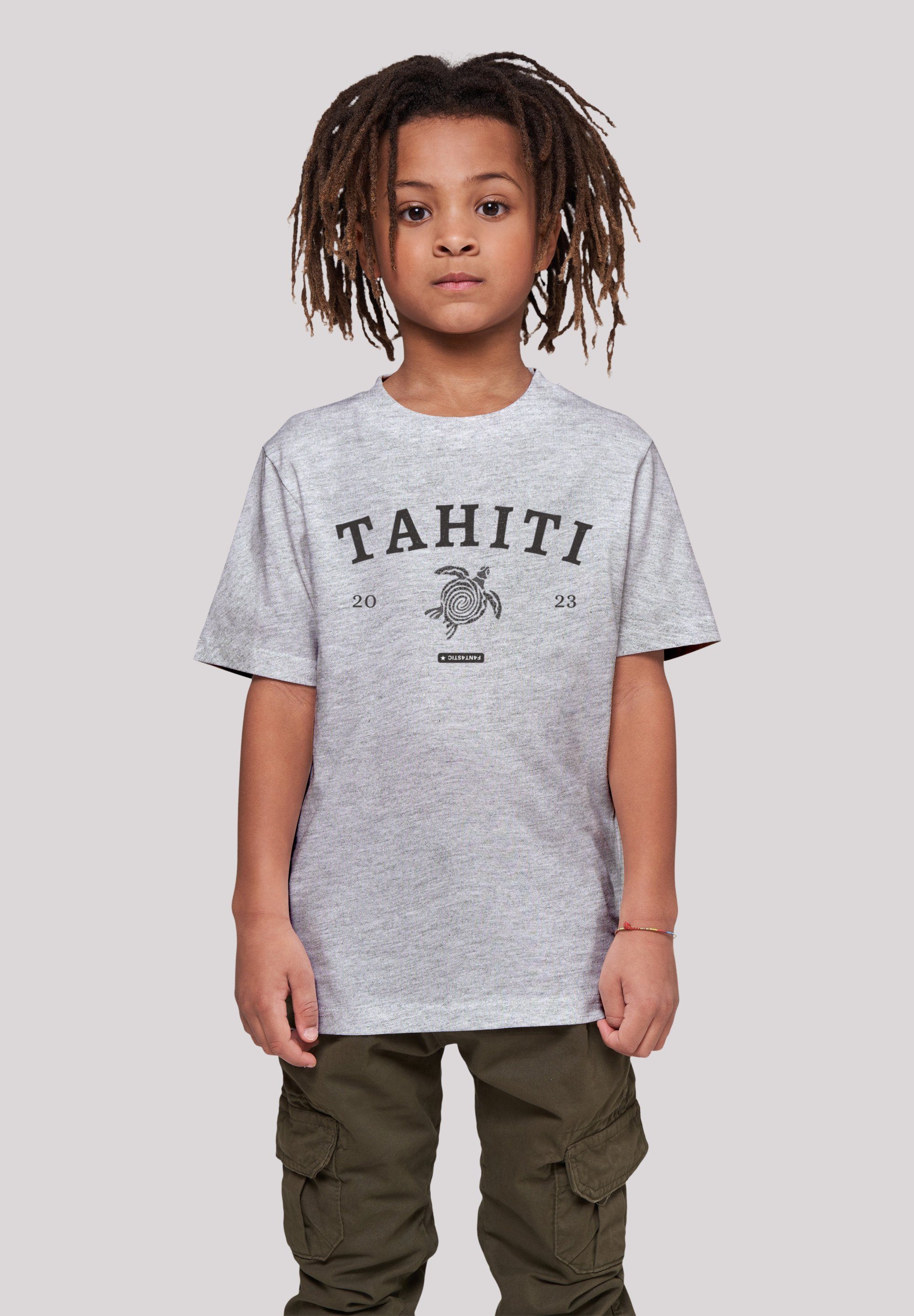 F4NT4STIC T-Shirt Tahiti grey heather Print