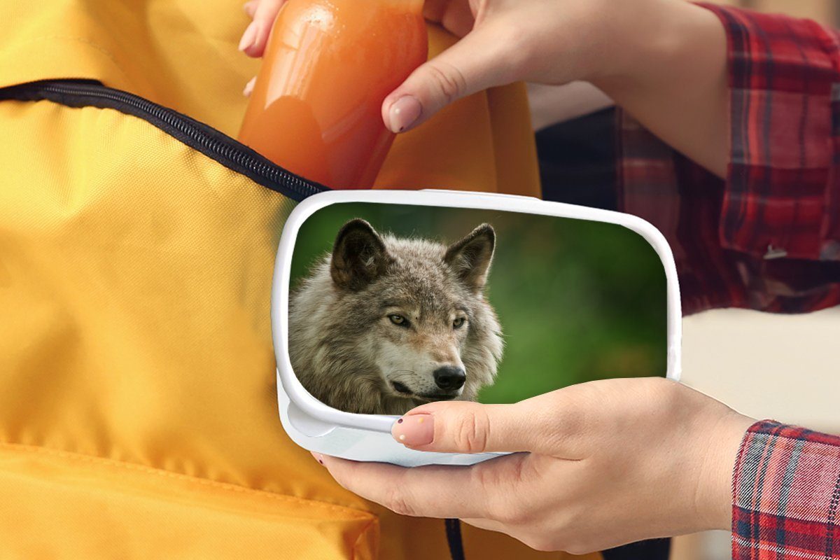 MuchoWow Lunchbox Wolf Kunststoff, (2-tlg), Jungs Erwachsene, - Mädchen Fell, für Brotdose, Kinder - und Brotbox weiß und Grau für
