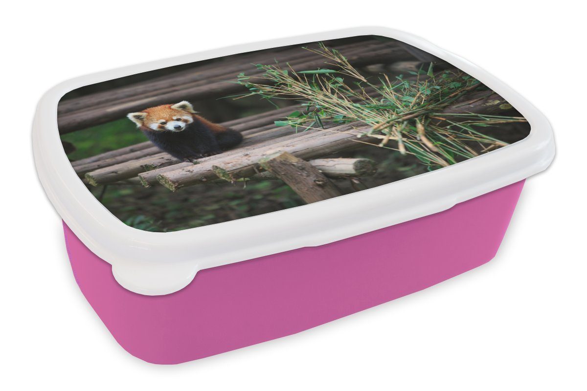 MuchoWow Lunchbox Roter Panda - Bambus - Baumstämme, Kunststoff, (2-tlg), Brotbox für Erwachsene, Brotdose Kinder, Snackbox, Mädchen, Kunststoff rosa