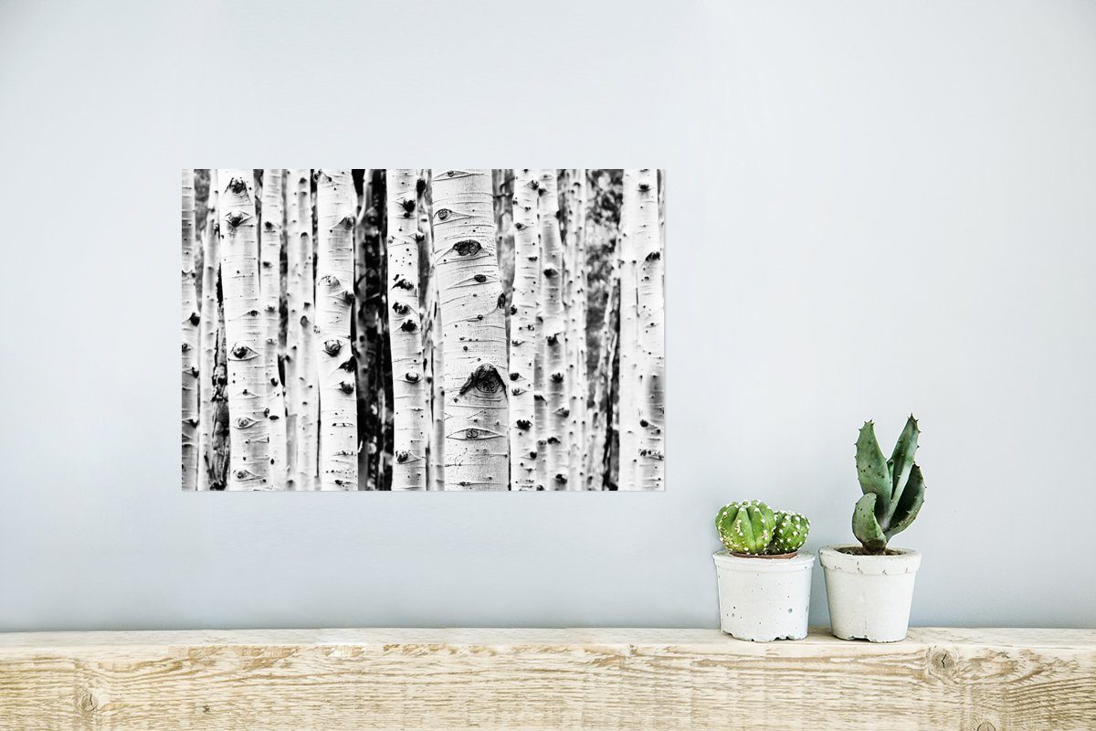 Schwarz Wandbild, und Ohne - Wandposter Wohnzimmer, Poster, - Rahmen Natur, (1 MuchoWow für St), - Holz weiß Poster Bäume