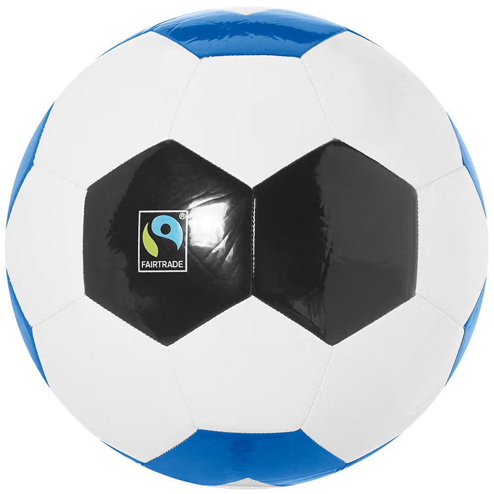 HSV Fußball HSV Fussball BWS Logo Größe 5