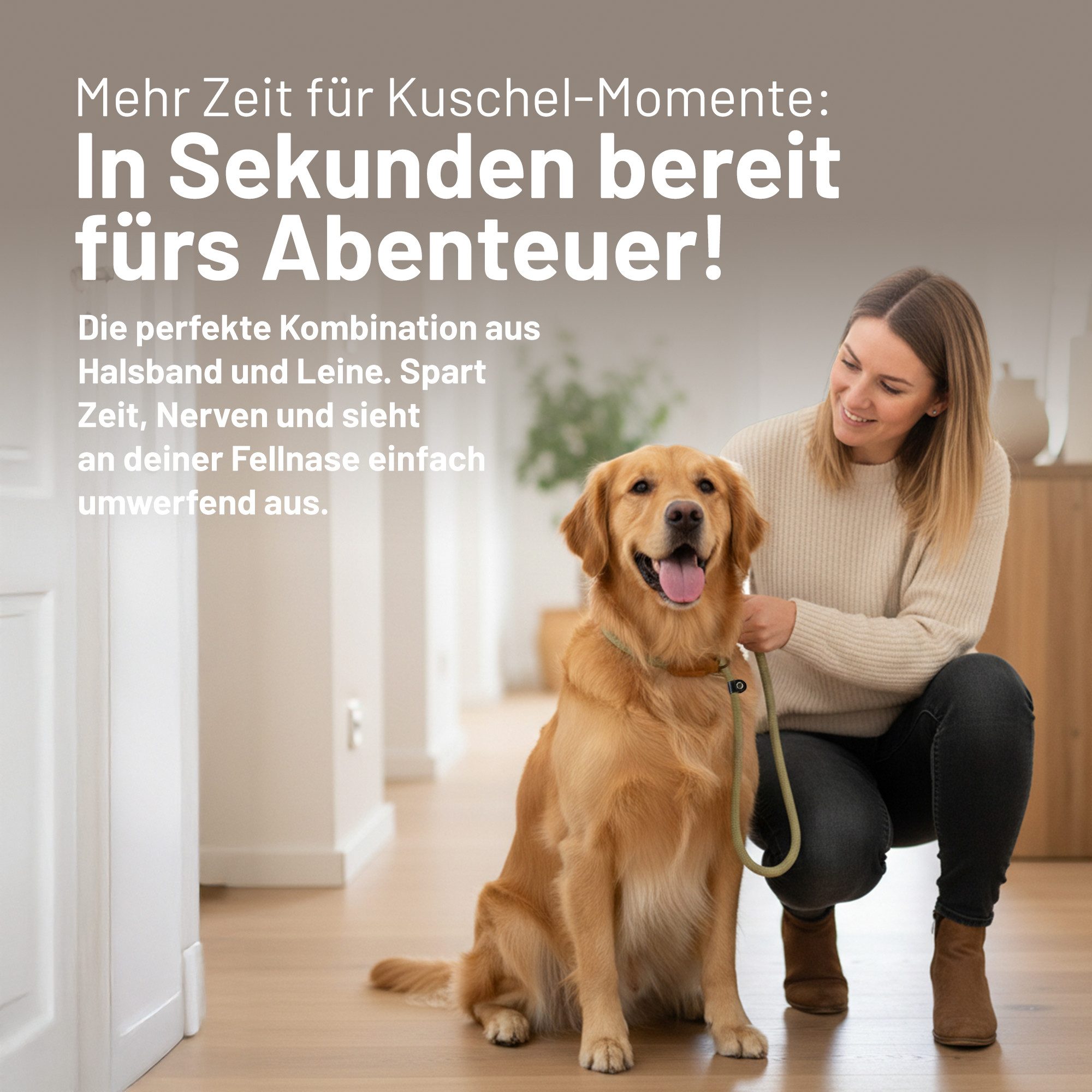 Rudelkönig Hundeleine Retrieverleine Tilda, Führleine mit Zugstopp, hochwertige Hundeleine, Nylon (1-tlg., Rudelkönig), Leine und Halsband in einem