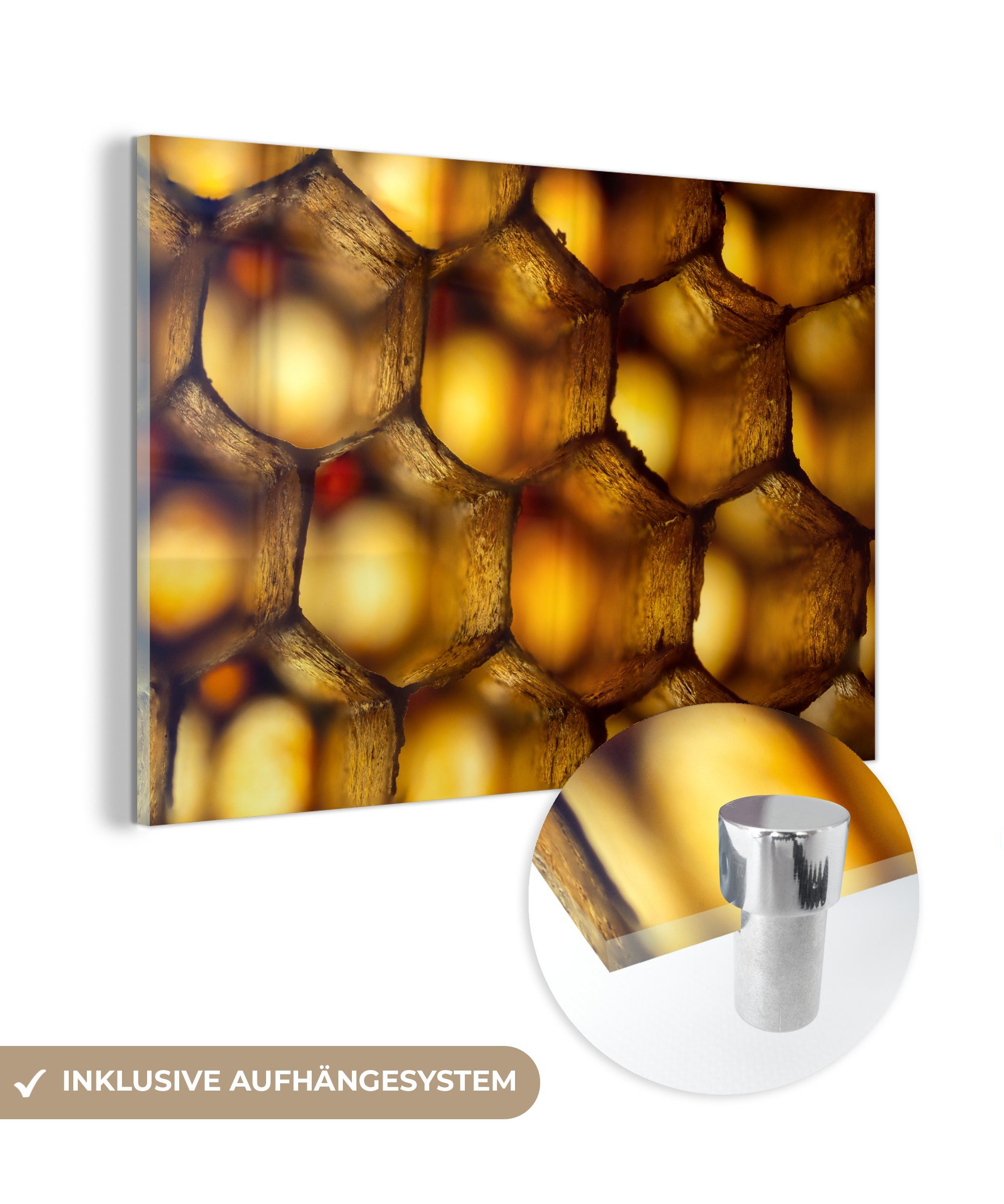 MuchoWow Acrylglasbild Das Innere einer Bienenwabe, (1 St), Acrylglasbilder Wohnzimmer & Schlafzimmer