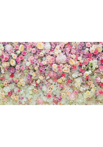 Consalnet Fototapetas »Blumen« glatt Motiv