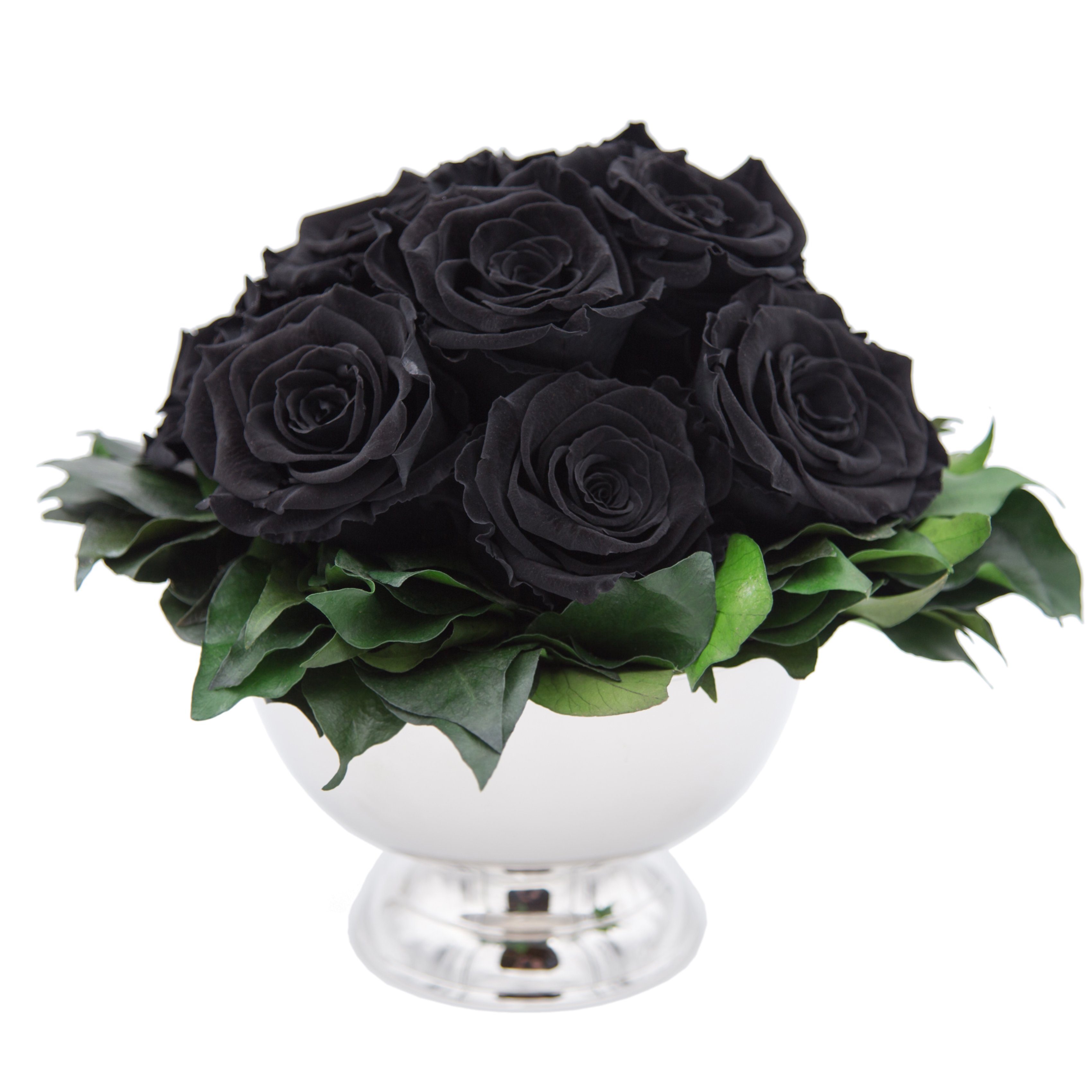 Rosenbox cm, 11 Rosen Rose, Geschenk SCHULZ Echte Frauen Blumenstrauß Höhe Jahre Heidelberg, 3 haltbar Schwarz Blumen Blumenschale I für in 18 Infinity Kunstblume ROSEMARIE