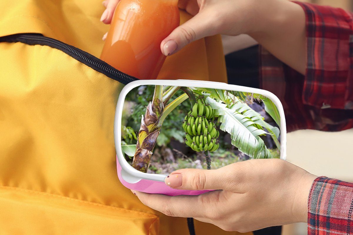 Banane (2-tlg), Brotdose Pflanze MuchoWow Snackbox, Kinder, Brotbox für Baum, Mädchen, Erwachsene, Kunststoff, - rosa Lunchbox Kunststoff -