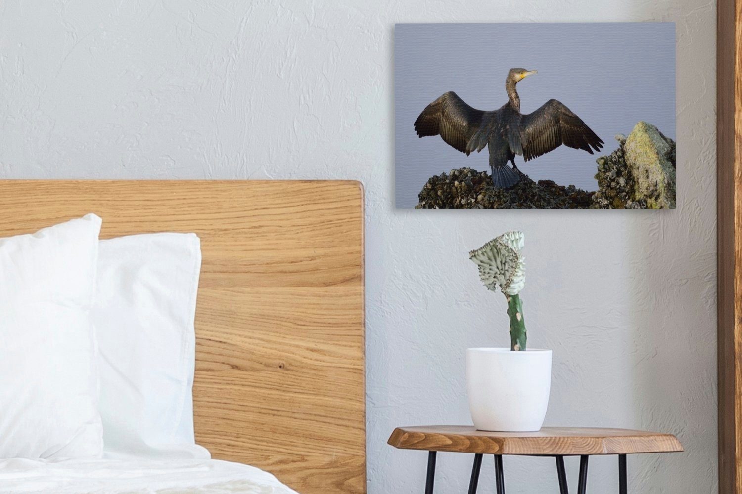 OneMillionCanvasses® Leinwandbild Schwarzhalskormoran breitet seine Aufhängefertig, Wandbild (1 Leinwandbilder, Flügel cm aus, 30x20 St), Wanddeko