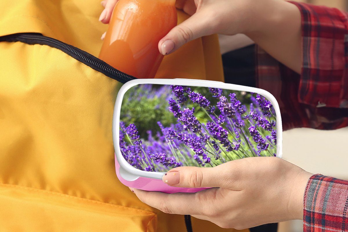 Natur, Lunchbox der Brotbox Snackbox, (2-tlg), Erwachsene, Kunststoff, Mädchen, für Leuchtend rosa Lavendel Kunststoff MuchoWow lila in Brotdose Kinder,