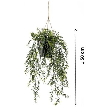 Kunstrasen Kunstpflanze Buchsbaum Hängend in Topf 50 cm, Emerald, Höhe: 50 mm