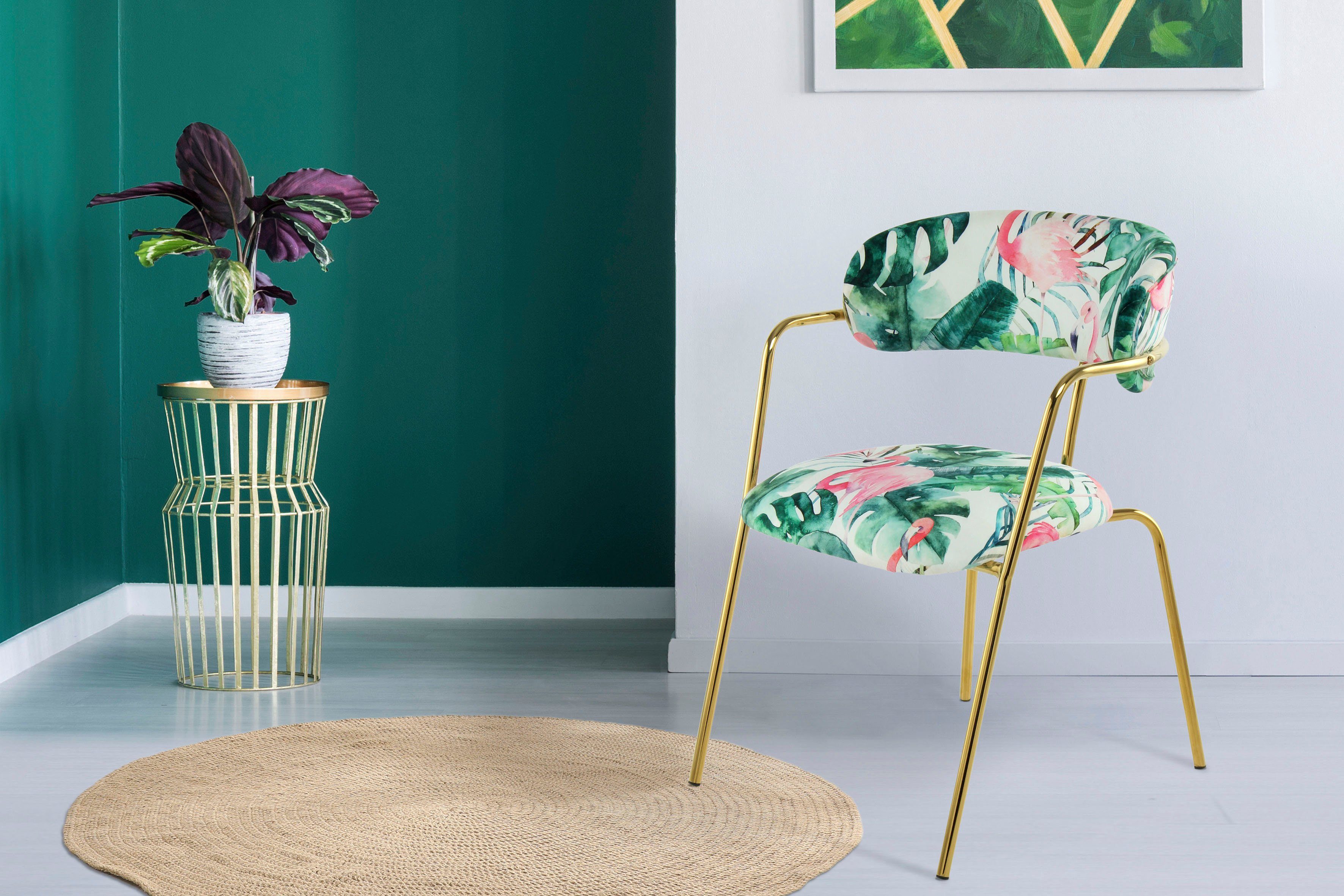 Kayoom Stuhl Forest 425 2er-Set, samtweicher Bezug mit hohem Sitzkomfort (Set, 2 St), elegant, gute Stabilität durch hochwertige Verarbeitung