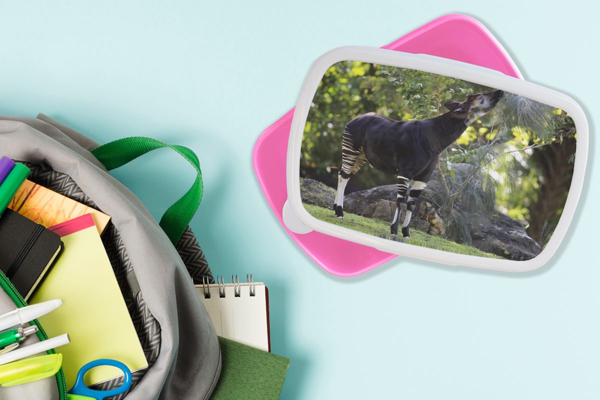 Okapi Brotdose (2-tlg), im Blätter frisst Grasland, Snackbox, Kinder, Kunststoff, MuchoWow Erwachsene, Lunchbox Brotbox Kunststoff rosa Mädchen, für