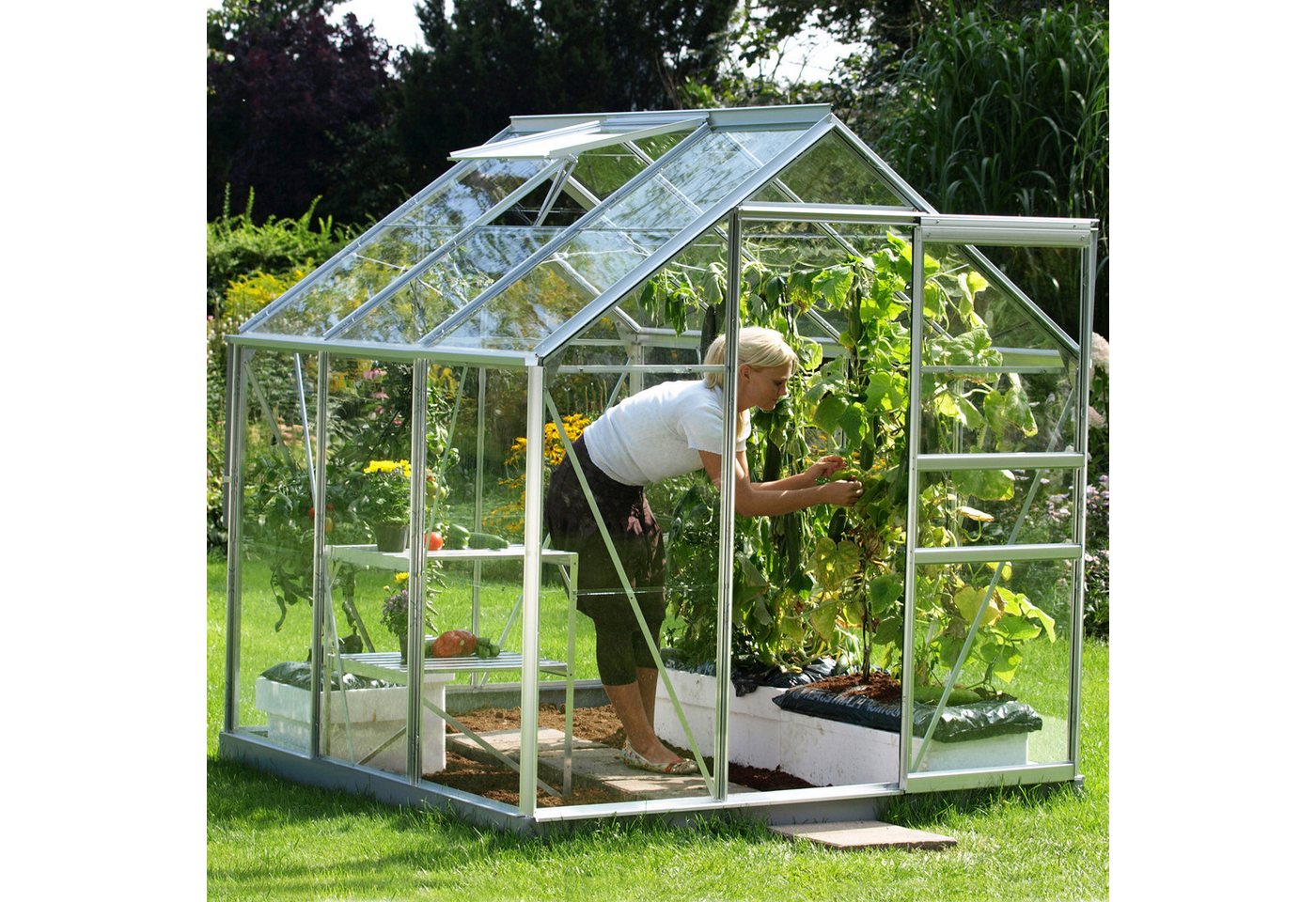 Vitavia Gewächshaus Planet 3800, 3,00 m... Vitavia Gewächshaus Planet 3800, 3,00 m...