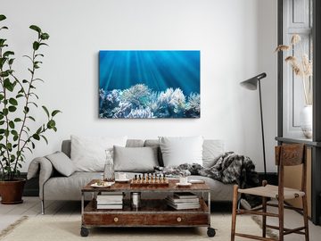 Sinus Art Leinwandbild 120x80cm Wandbild auf Leinwand Korallen Korallenriff Unterwasserfotogr, (1 St)
