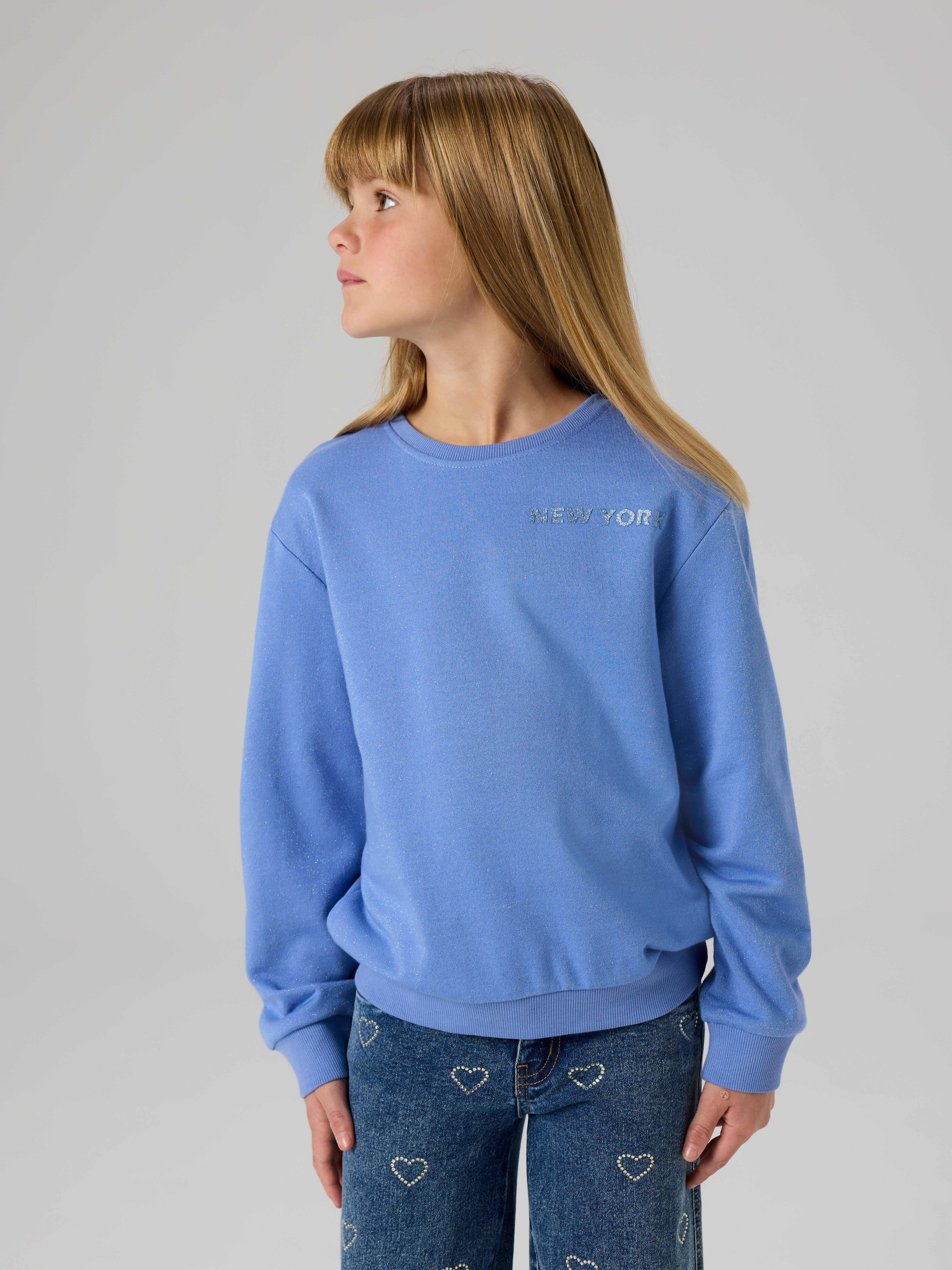 Name It Sweatshirt NKFTILDE LS NREG SWEAT TOP UNB PB