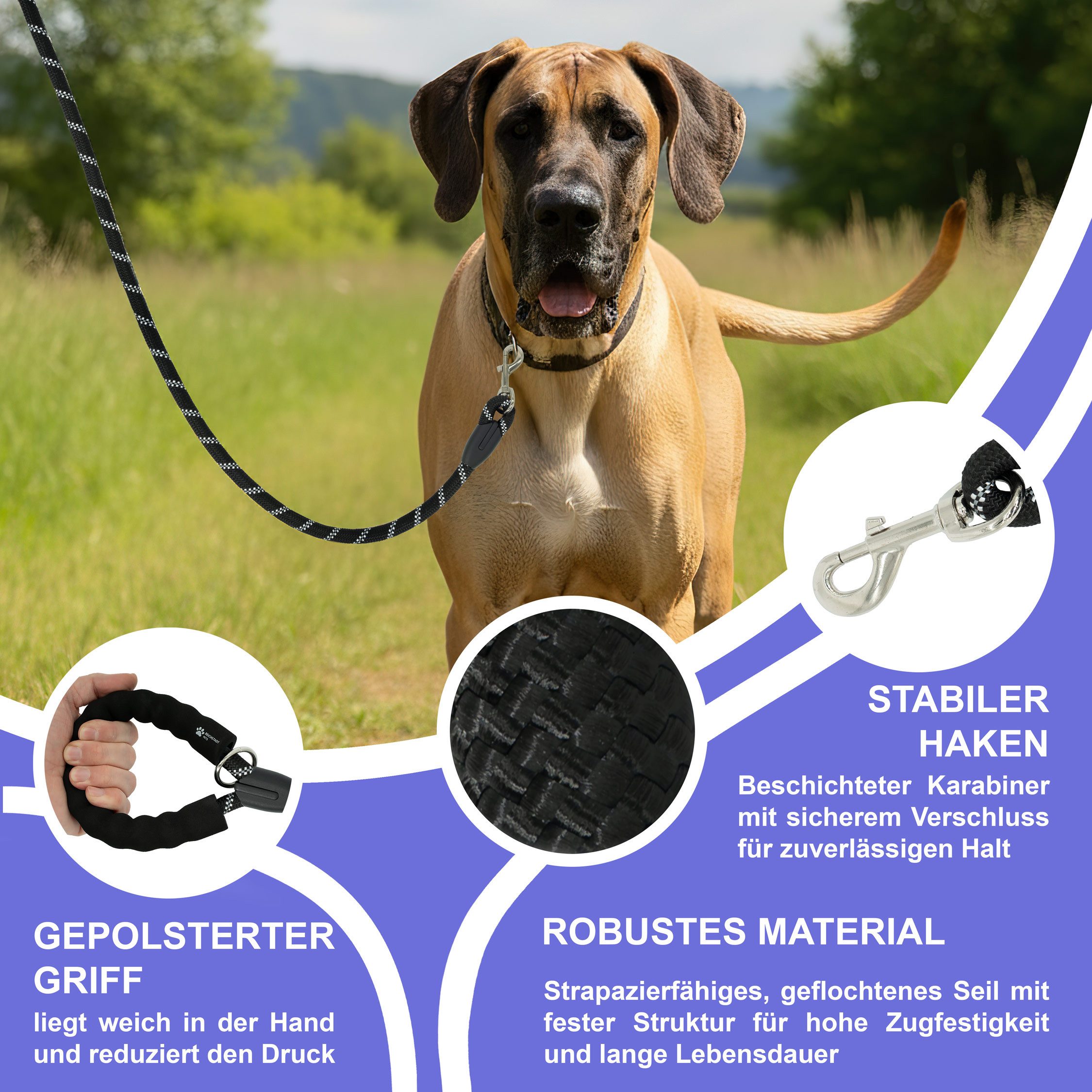 Reichstadt Hundeleine RS Pets Führleine Nylon 25RSP084, Nylon, Ergonomischer EVA-gepolsterter Griff für Blasenschutz