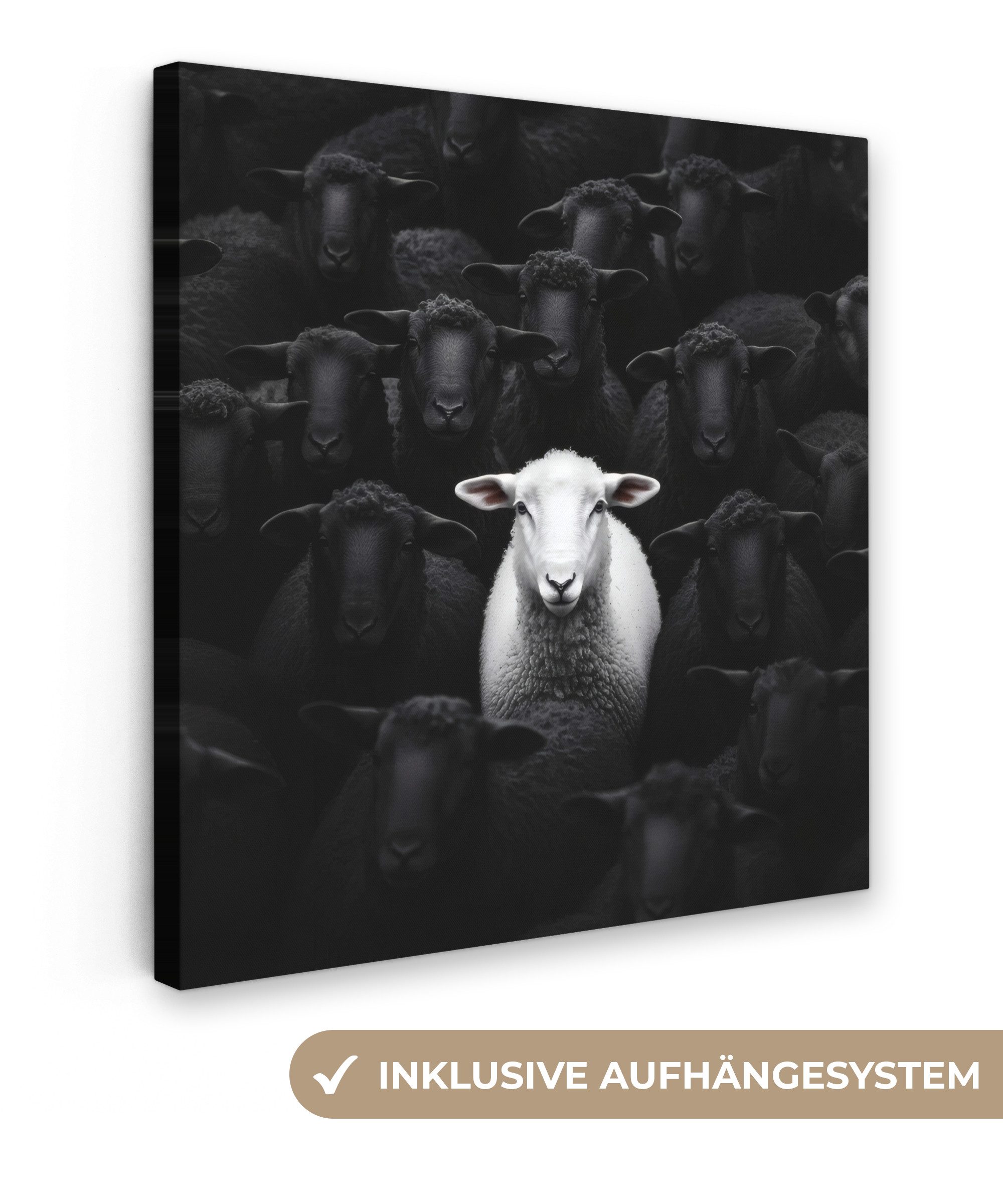OneMillionCanvasses® Leinwandbild Schafe - Weiß - Dunkelheit, Fotodruck (1 günstig online kaufen