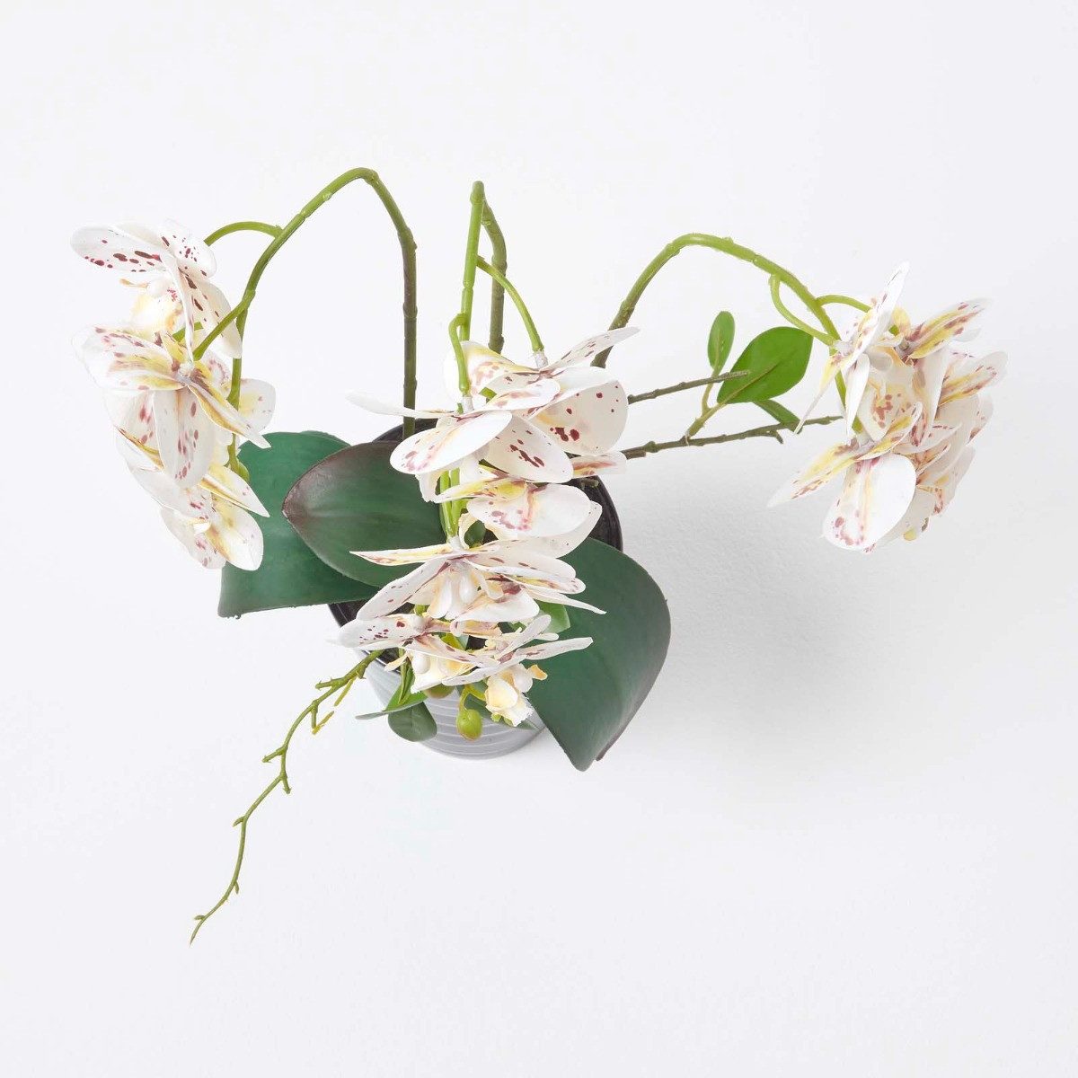 Kunstorchidee Künstliche weiße Phalaenopsis-Orchidee im schwarzen Keramik-Topf 56cm, Homescapes