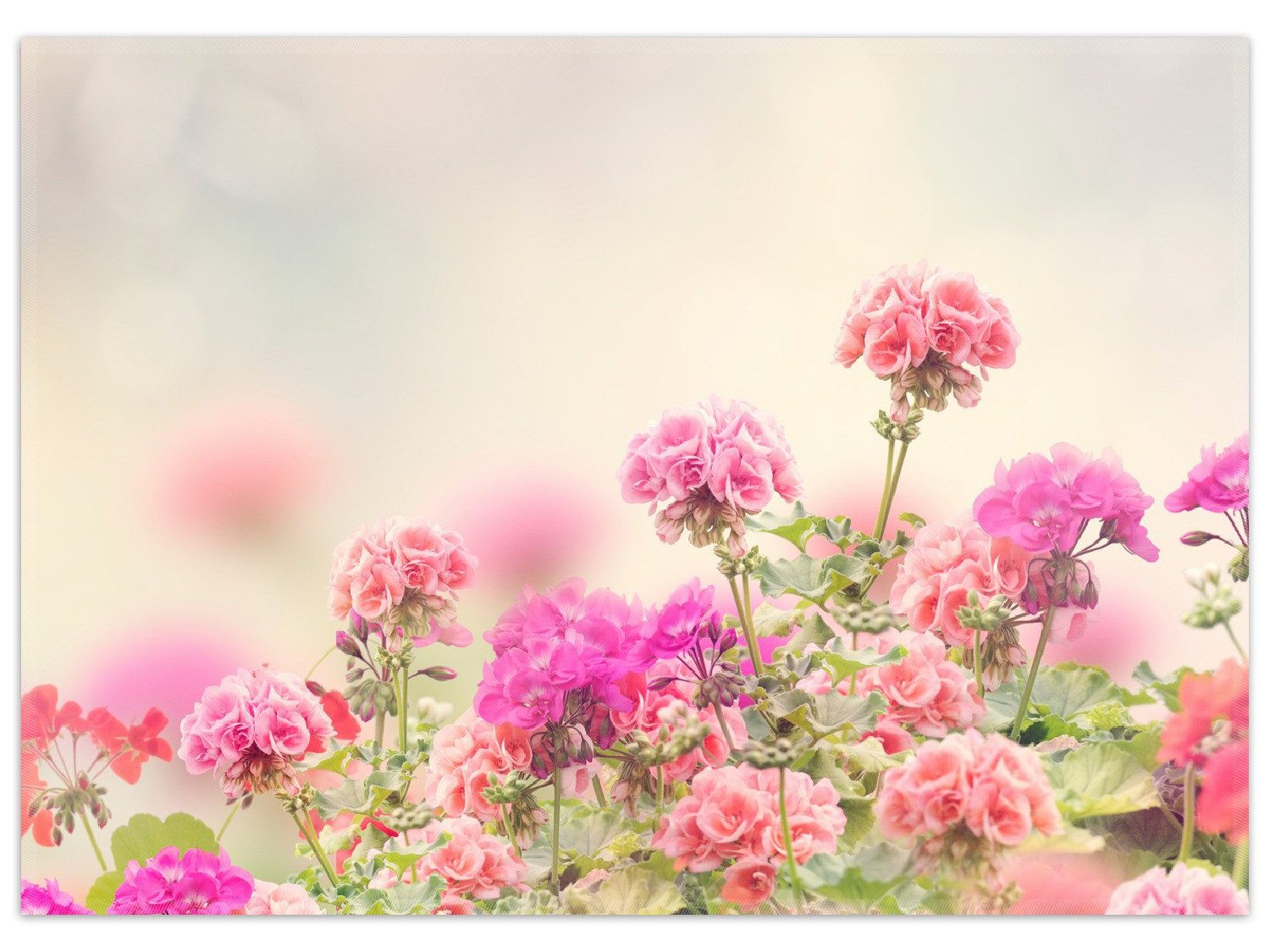 Wallario Teppich Zarte Blüten in Rosa, rechteckig, rutschfest