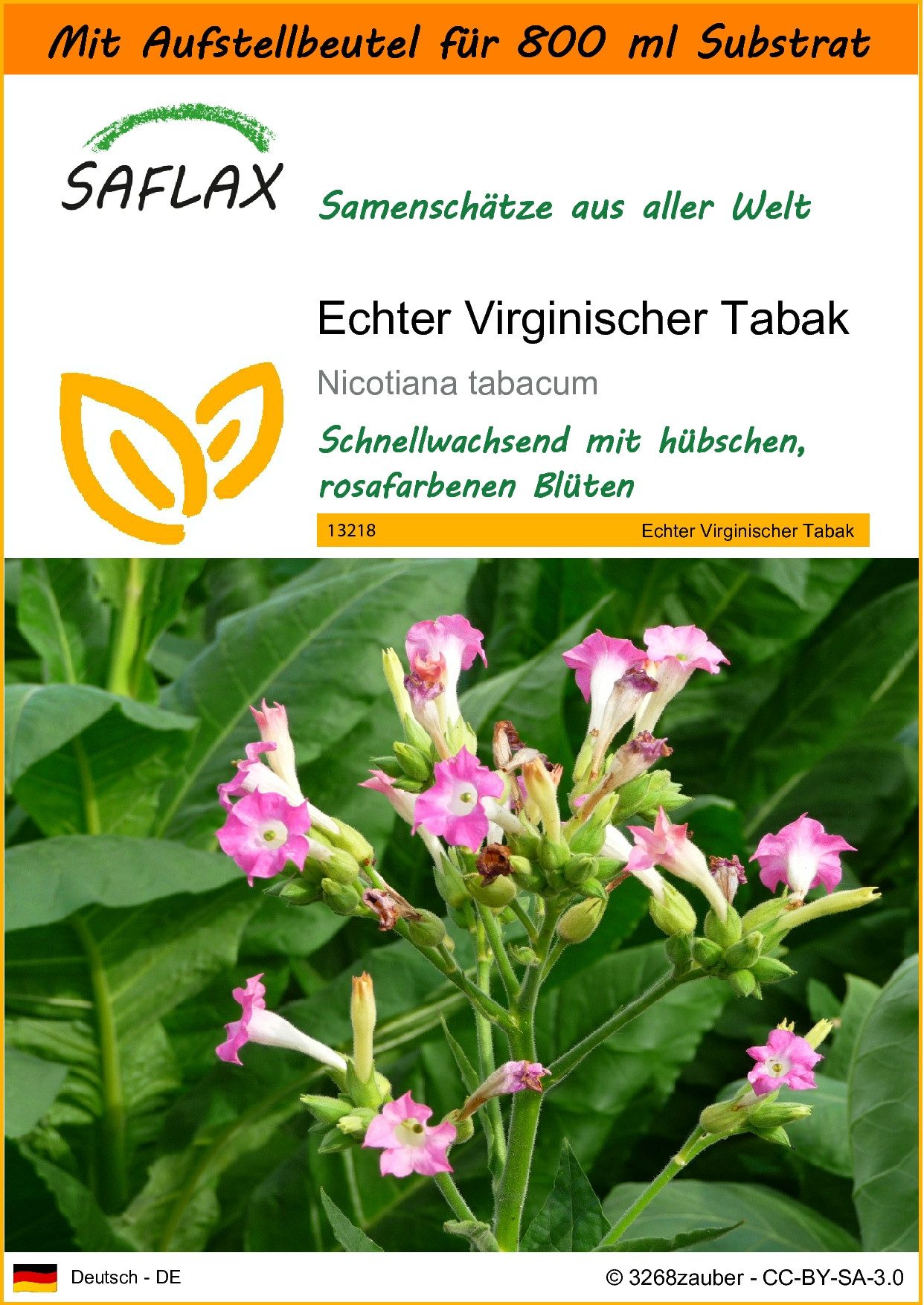 SAFLAX Blumensamen SAFLAX - Garden in the bag - Echter Virginischer Tabak