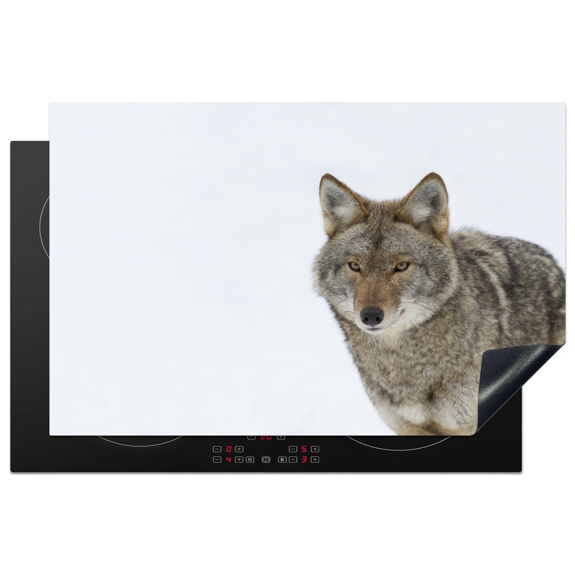 MuchoWow Herdblende-/Abdeckplatte Wolf auf weißem Hintergrund, Vinyl, (1 tlg), 81x52 cm, Induktionskochfeld Schutz für die küche, Ceranfeldabdeckung