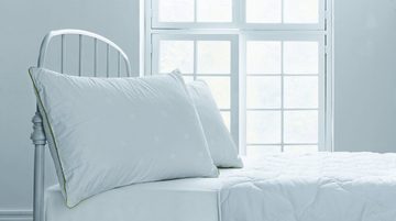 Kopfkissen Dacron® Climarelle®, Yatas Bedding, ausgewogene Schlaftemperatur und extreme Weichheit