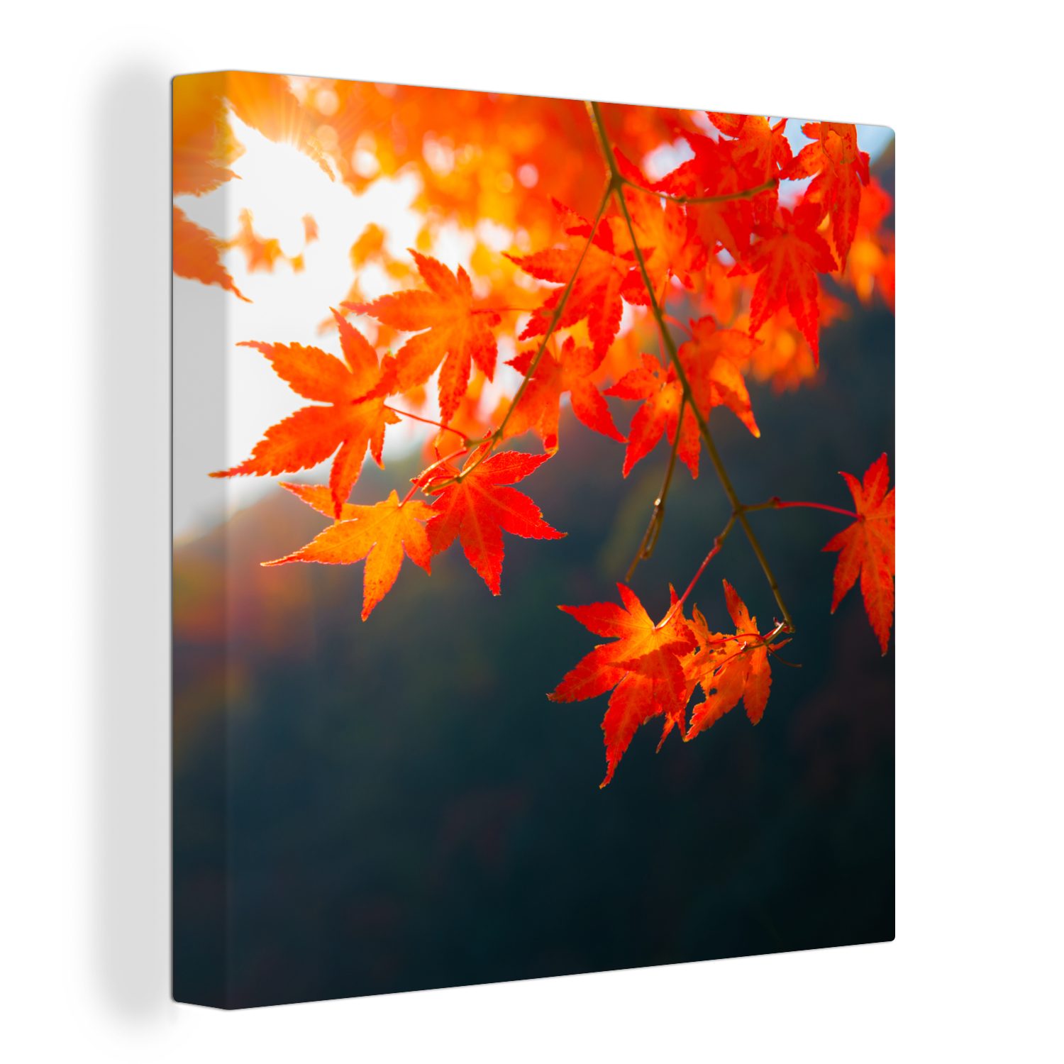 OneMillionCanvasses® Leinwandbild Herbstblätter in Japan, (1 St), Leinwand Bilder für Wohnzimmer Schlafzimmer