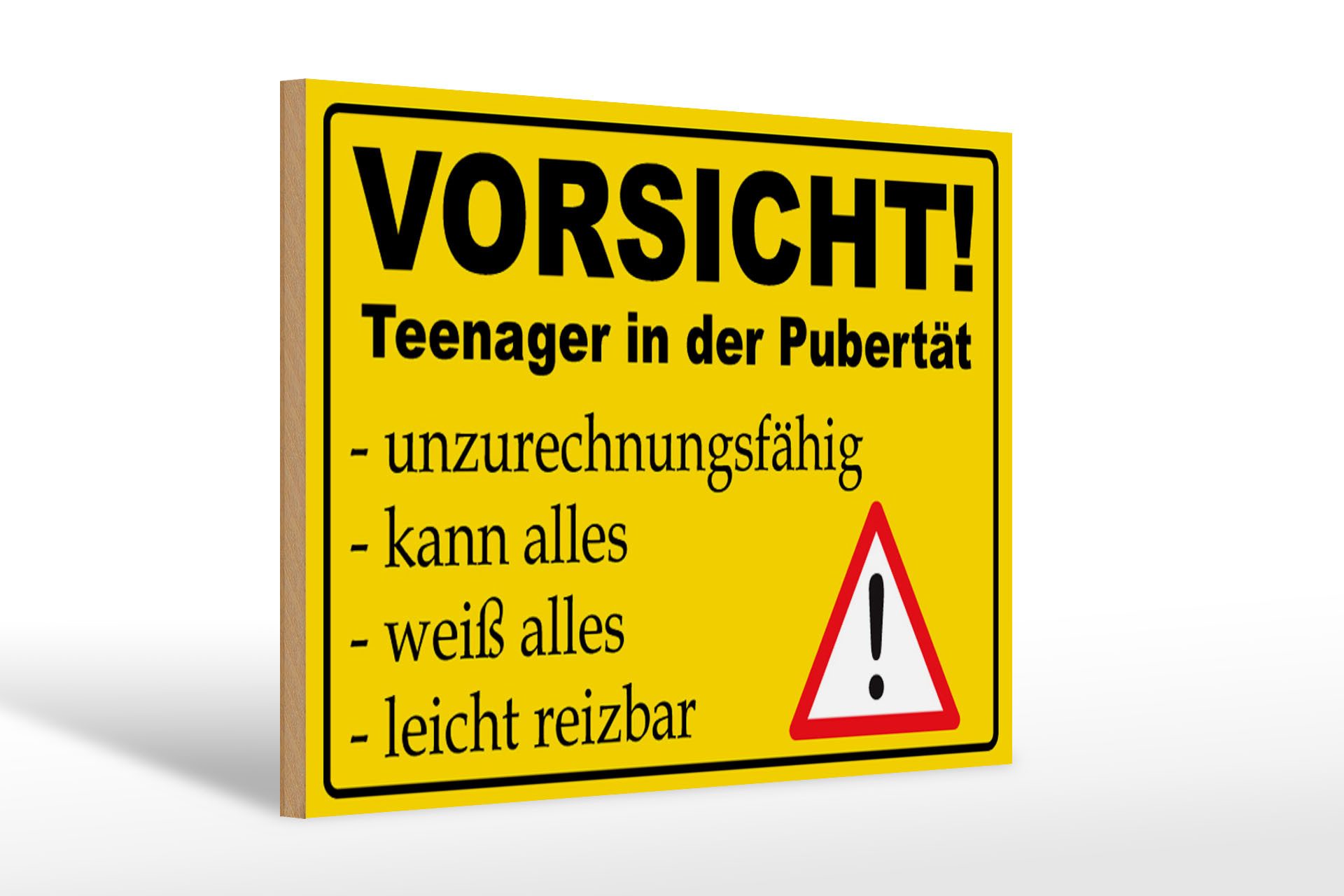Femer GmbH Holzbild Hinweis 30x20cm Vorsicht Teenager in Pubertät, Sprüche Zitate Lustiges (1 St), Glatte Holzfaserplatte (MDF), vorn beschichtet
