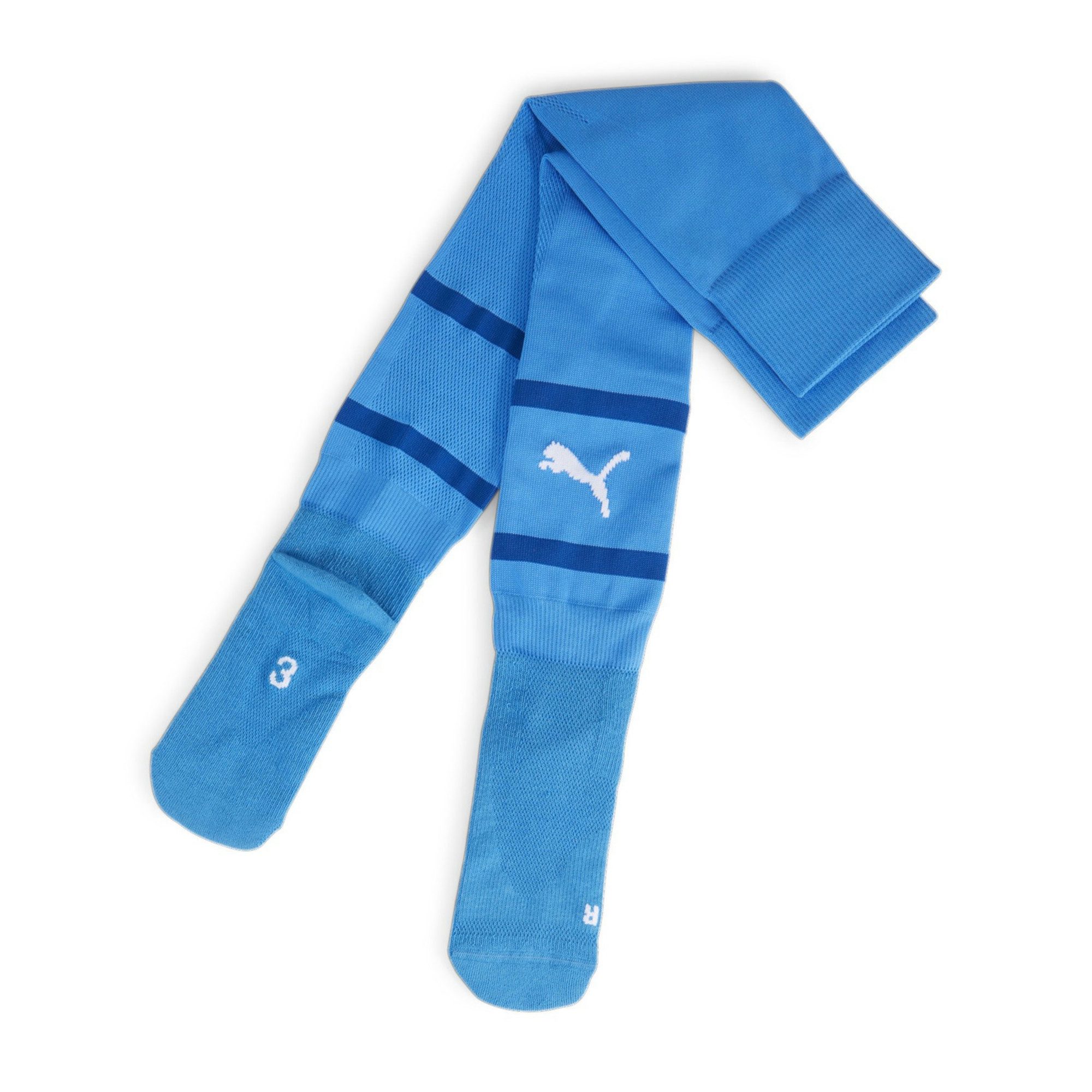 Fußballstutzen Puma Stutzen teamFINAL Socks 705746