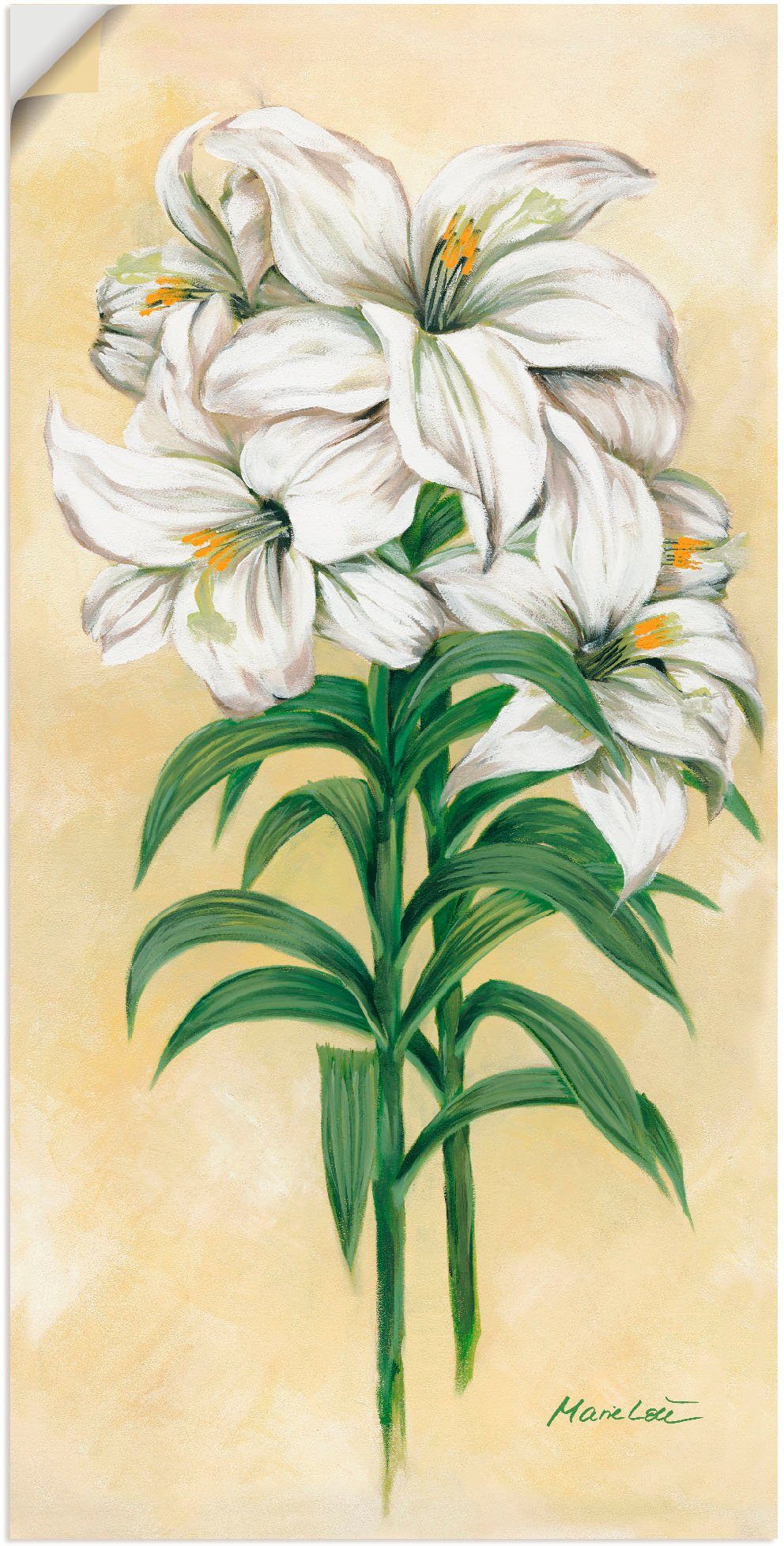 Wandbild St), als in (1 Poster oder Artland Blumen Aufhängen Lilien, einfache für Fertig Größen, Alubild, Montag Leinwandbild, Wandaufkleber versch. zum