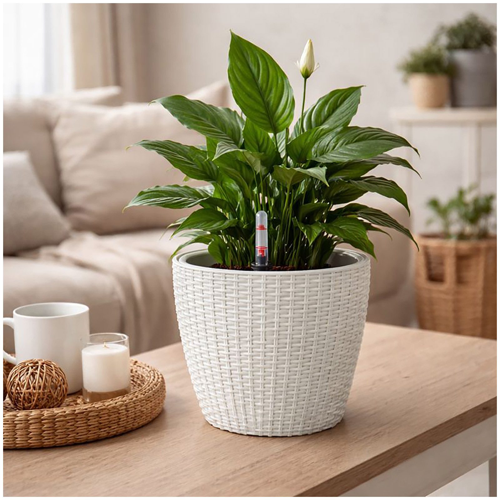 HTI-Living Blumentopf Blumentopf Nessa Hydro 21,5 cm Weiß (Stück, 1 St., 1 günstig online kaufen
