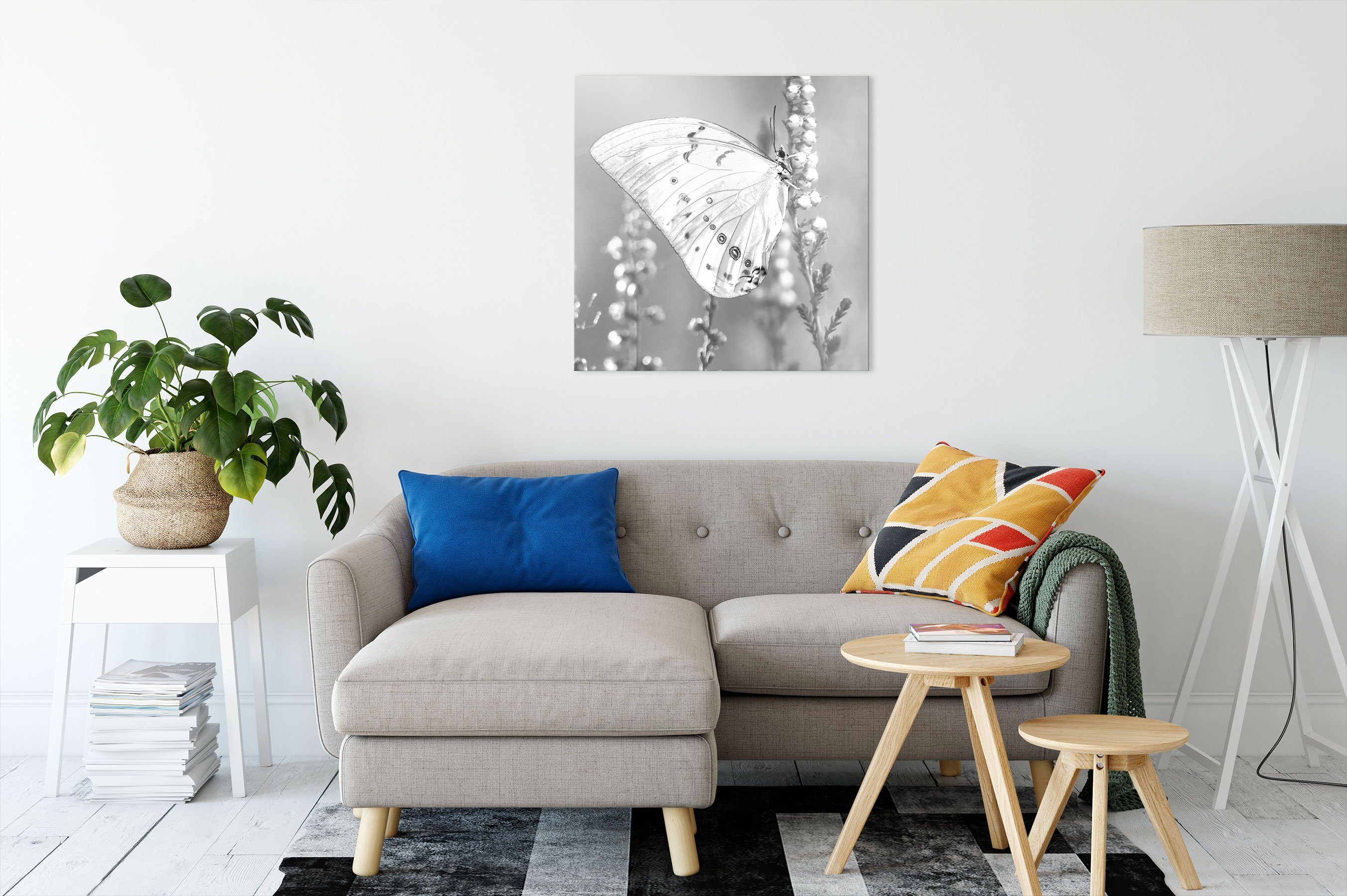 Leinwandbild fertig (1 St), Schmetterling Pixxprint Zackenaufhänger Leinwandbild inkl. Blütenknospen, auf Schmetterling auf bespannt, Blütenknospen