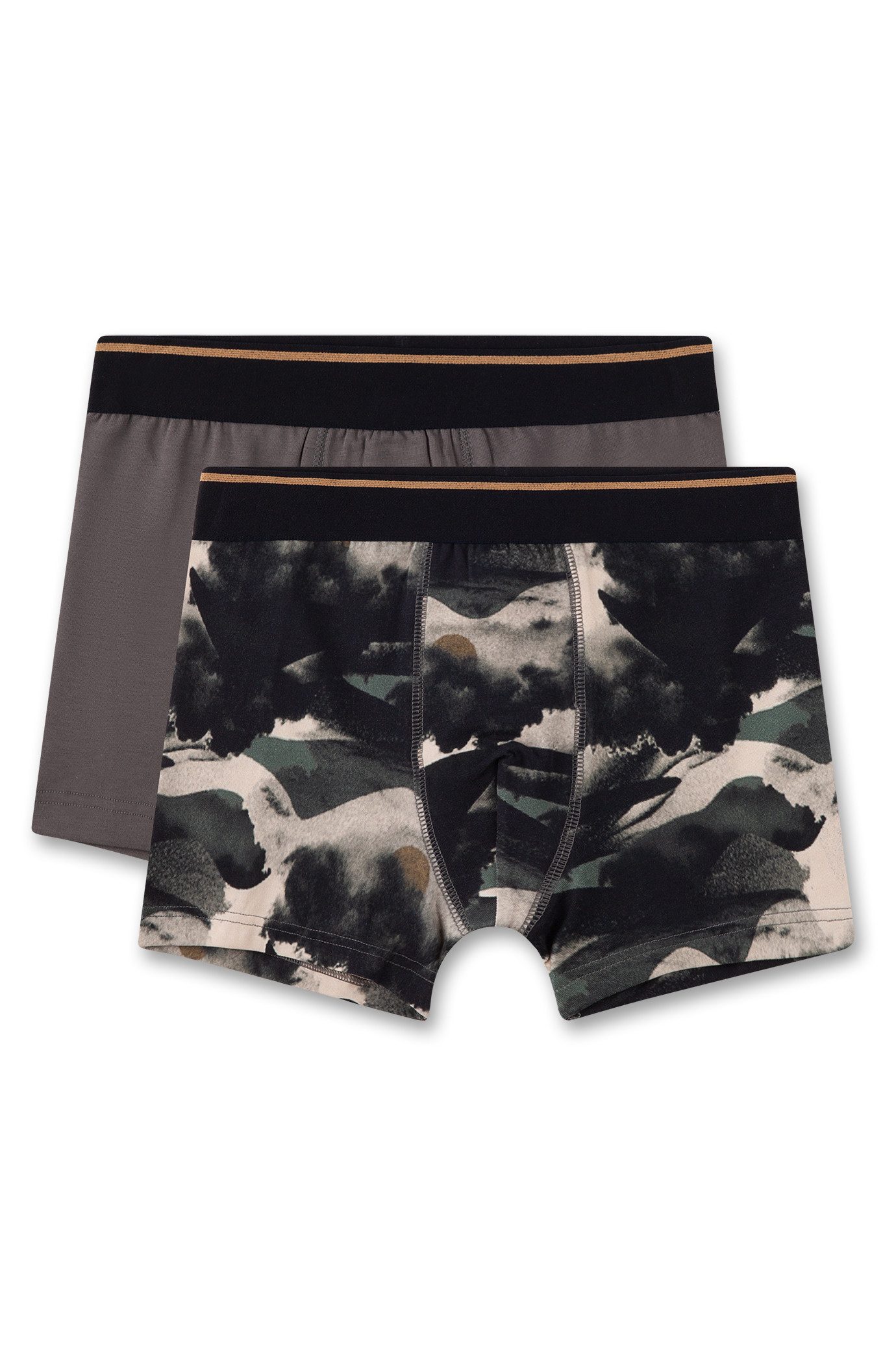 Boxer