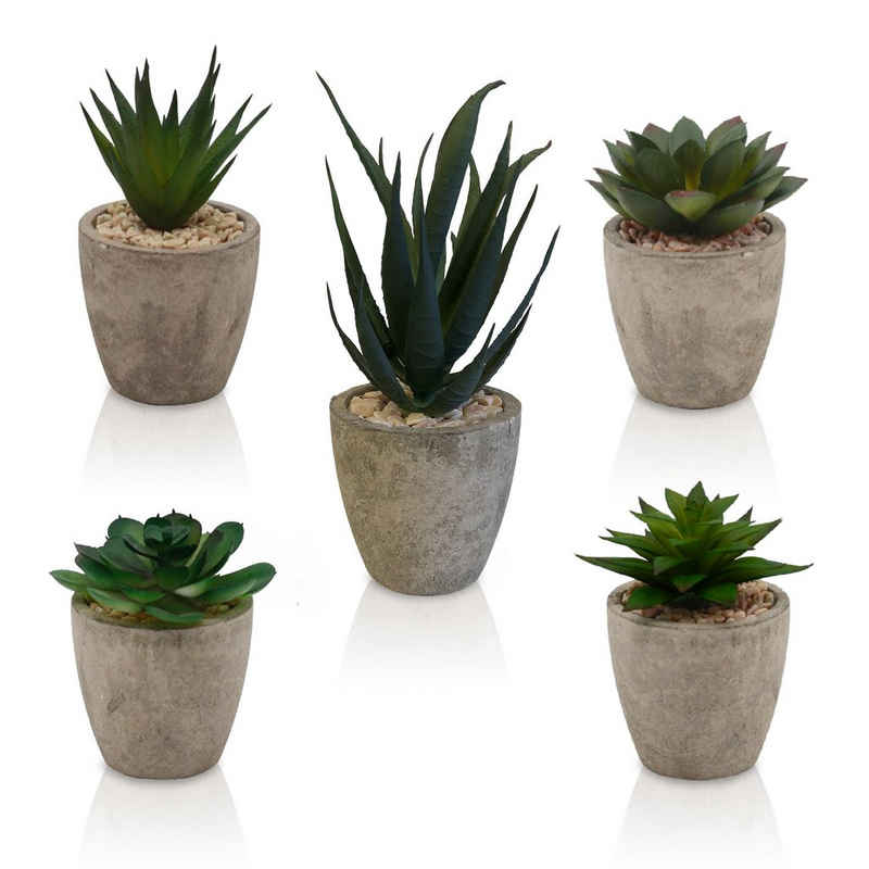 Kunstpflanze Dekorationspflanzen 5er Set, künstliche Zimmerpflanzen - Sukkulenten Kunstpflanze, TOREDOO
