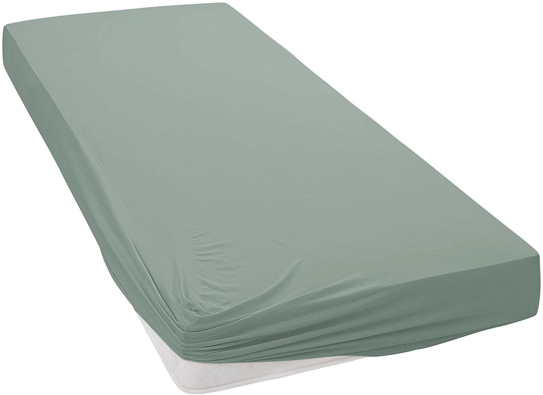 Janine Spannbettlaken MAKO-FEINJERSEY 5007, Mako-Jersey, Gummizug: rundum, (1 Stück), aus 100% Baumwolle, für Matratzen bis 26 cm Höhe – Bild 2 von 5